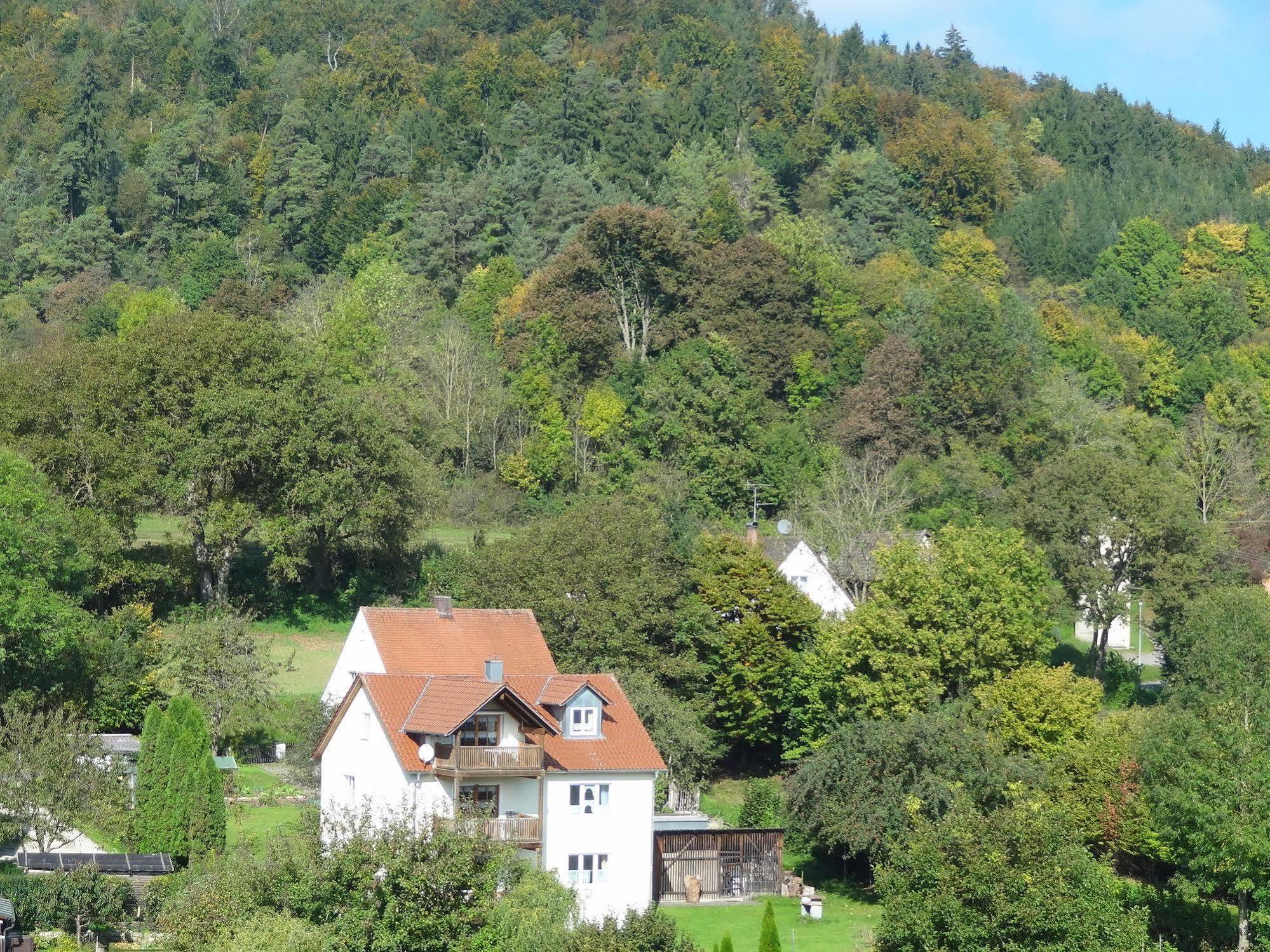 Donauer Im Altmuehltal - Ferienwohnungen Biberbach  Exterior foto