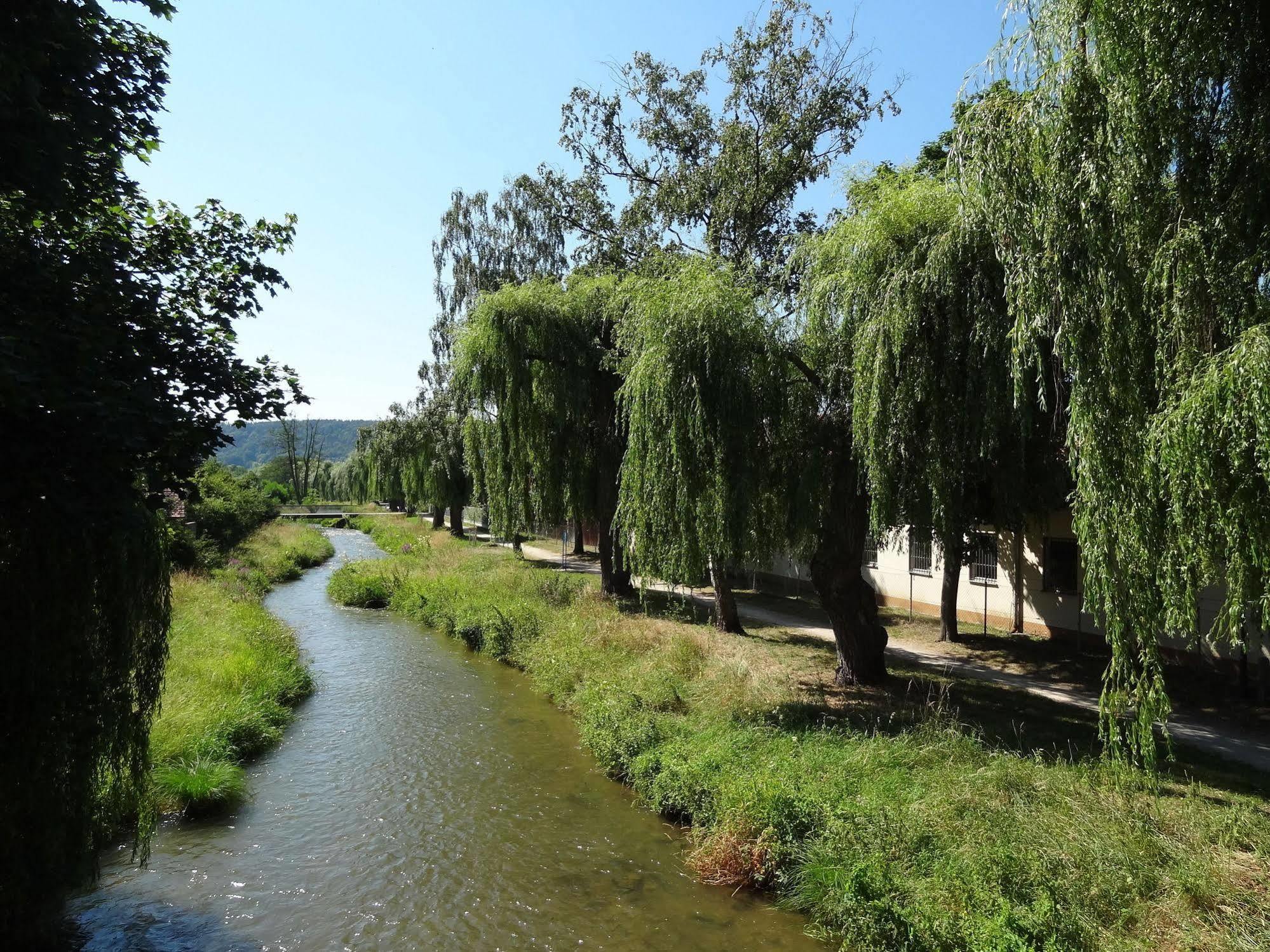 Donauer Im Altmuehltal - Ferienwohnungen Biberbach  Exterior foto